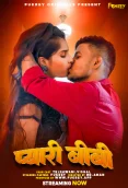 Pyari Biwi 2024 Fukrey Short Film Download