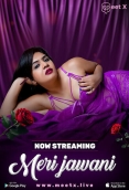 Meri Jawani 2025 Meetx S01E01 Web Series Download