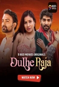 Dulhe Raja 2025 9redmovies S01E07T08 Web Series Download