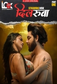 Dilruba (2025) LookEnt S01 E01-04 Web Series