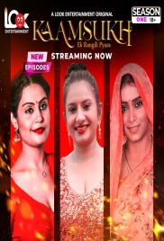 Kaam Sukh 2025 LookEnt S01E04T06 Web Series Download (2025)