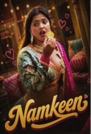 Namkeen (2026) S01 E01-02 Web Series (2026)