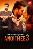 Angithee 3 (2024) Hindi Movie